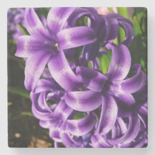 Dessous-de-verre En Pierre Flore de printemps Blue Hyacinth II