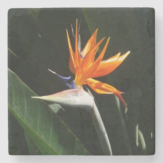 Dessous-de-verre En Pierre Flower tropical orange paradise (Devant)