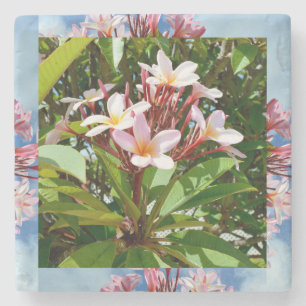 Dessous-de-verre En Pierre Flowering Pink Frangipani Tree