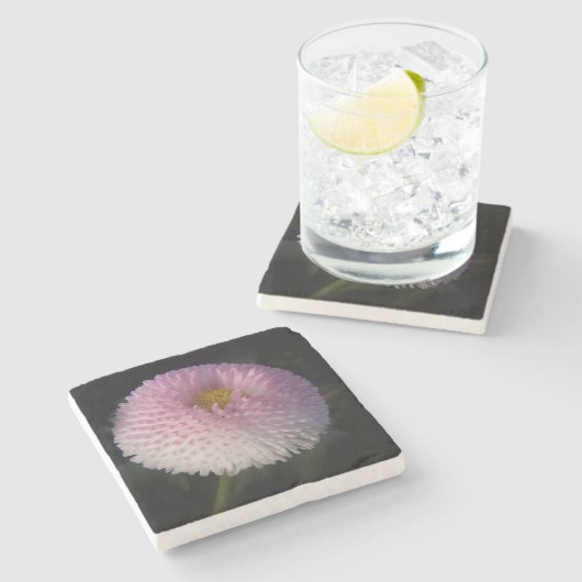 Dessous-de-verre En Pierre flowers on black - rosa bellis (Côté)