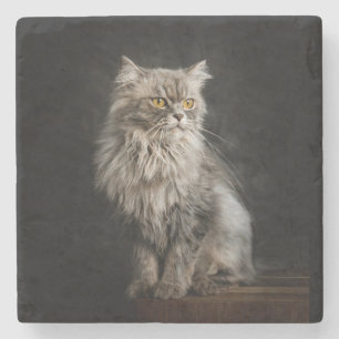Dessous-de-verre En Pierre Fluffy Gris