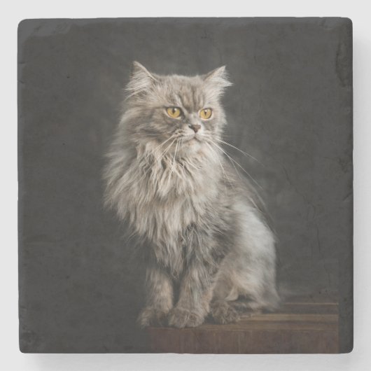 Dessous-de-verre En Pierre Fluffy Gris (Devant)