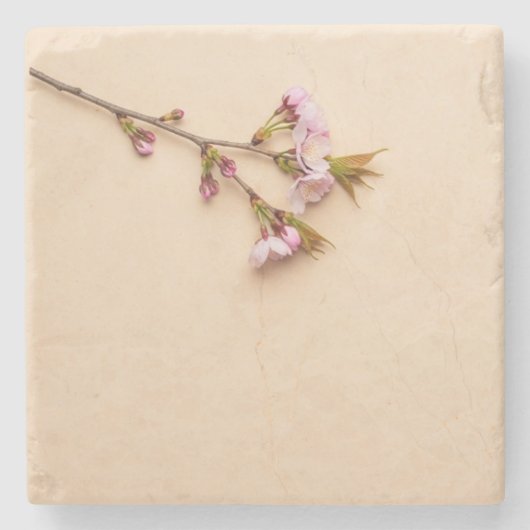 Dessous-de-verre En Pierre Fond de fleurs de cerisier et de marguerite (Devant)