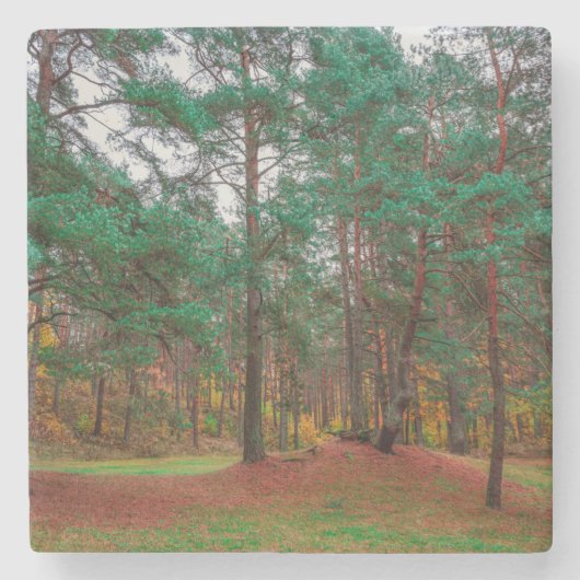 Dessous-de-verre En Pierre Forêt d'automne (Devant)