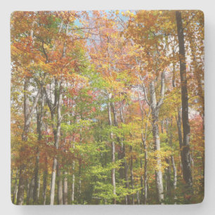 Dessous-de-verre En Pierre Forêt d'automne II Photographie de paysage automna