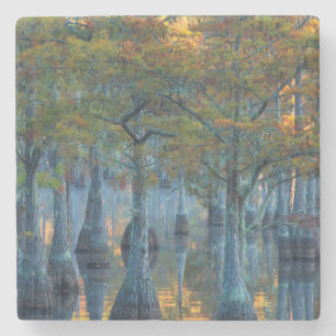 Dessous-de-verre En Pierre Forêt de cyprès de bassin