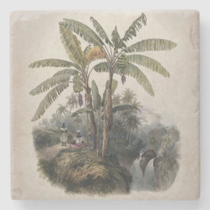 Dessous-de-verre En Pierre Forêt tropicale antique de bananiers   Bota vintag