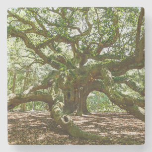 Dessous-de-verre En Pierre Forte Et Grave