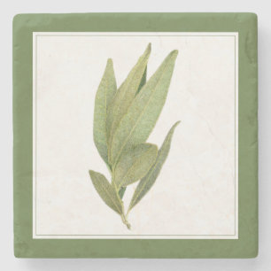 Dessous-de-verre En Pierre FRESH BAY FEUILLE Marble Pierre Dessous de verre -