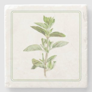 Dessous-de-verre En Pierre FRESH OREGANO Dessous de verre en pierre de marbre