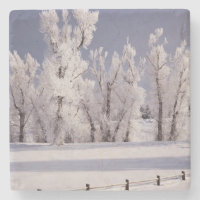 Frost a couvert les arbres et la barrière, le