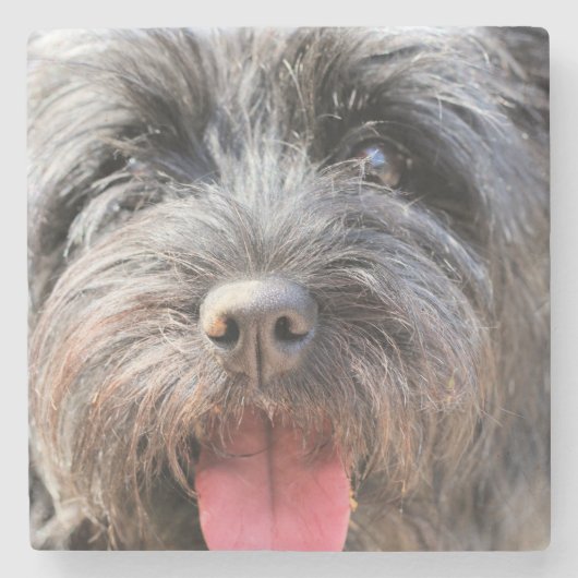 Dessous-de-verre En Pierre Fuzzy (Devant)