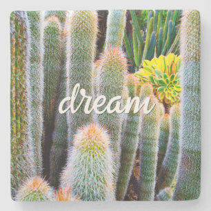 Dessous-de-verre En Pierre Fuzzy Green Cactus Succulent Photo Dream Script