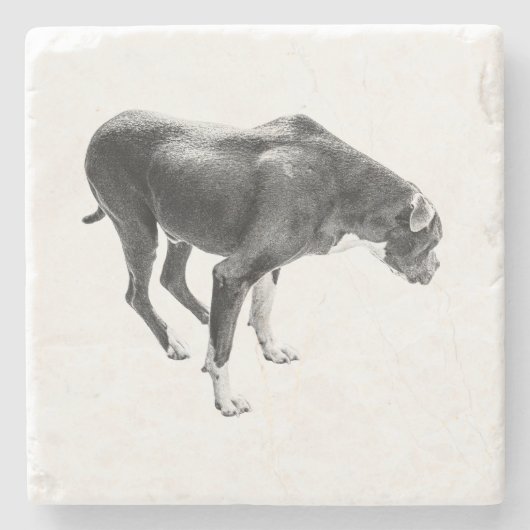 Dessous-de-verre En Pierre Gardien de table d'automne (Devant)