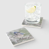 Dessous-de-verre En Pierre Geai bleu, cristata de Cyanocitta (Côté)