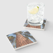 Dessous-de-verre En Pierre Géant Séquoia S'élève (Côté)