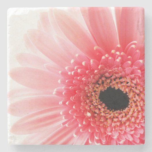 Dessous-de-verre En Pierre Gerbera Rose Daisy (Devant)