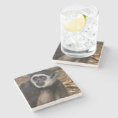 Dessous-de-verre En Pierre Gibbon (Hylobates Lar) à poitrine blanche, singe (Côté)