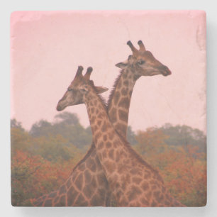 Dessous-de-verre En Pierre Girafe au ciel rose