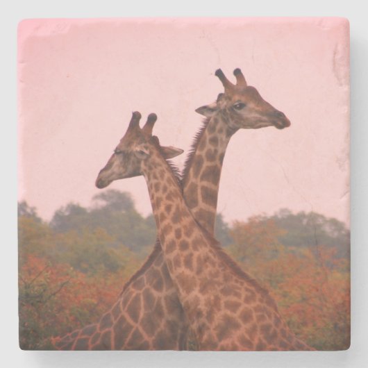 Dessous-de-verre En Pierre Girafe au ciel rose (Devant)