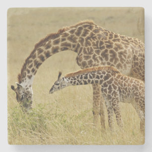 Dessous-de-verre En Pierre Girafe Masai mère et bébé, Giraffa