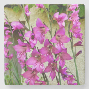 Dessous-de-verre En Pierre Gladiolus byzantin
