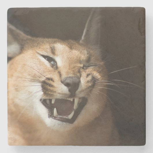 Dessous-de-verre En Pierre Goofy Lynx (Devant)