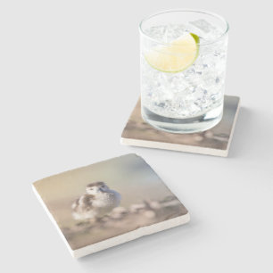 Dessous-de-verre En Pierre Goose Chick Nature Photo