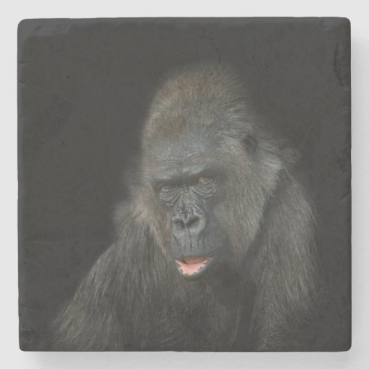 Dessous-de-verre En Pierre Gorilla Biddy (Devant)