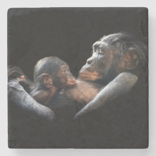 Dessous-de-verre En Pierre Gorilles