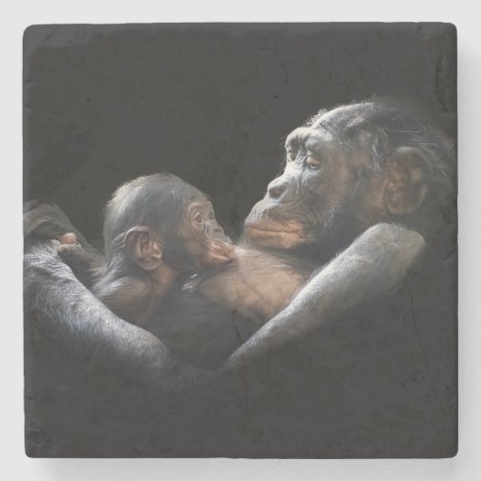 Dessous-de-verre En Pierre Gorilles (Devant)