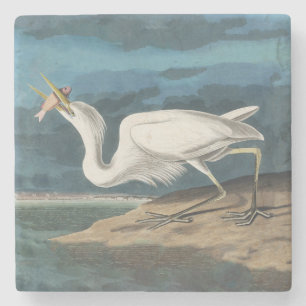Dessous-de-verre En Pierre Grande Aigrette d'Audubon : Oiseau côtier vintage