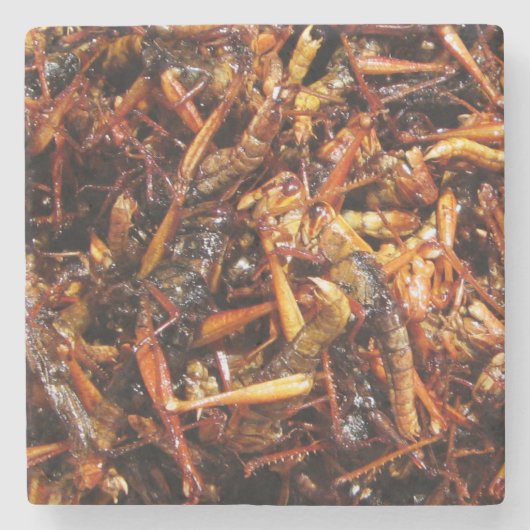 Dessous-de-verre En Pierre Grasshopper frit (Takkataen Thot) Alimentation asi (Devant)