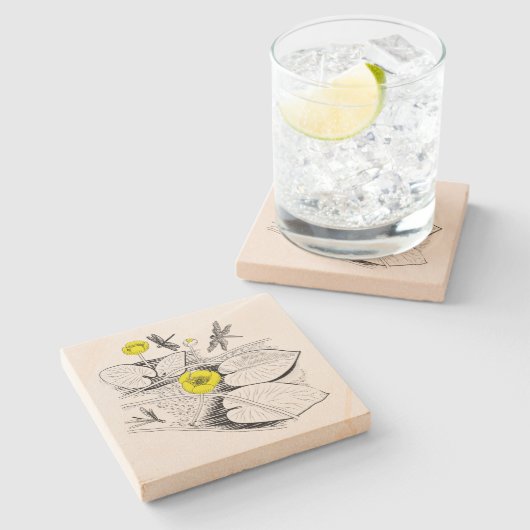 Dessous-de-verre En Pierre Gravure de nénuphars (Côté)