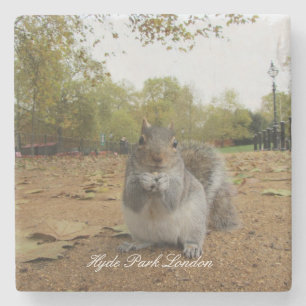 Dessous-de-verre En Pierre Gray Squirrel Hyde Park Londres.