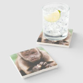 Dessous-de-verre En Pierre Gros plan d'un singe capucin à cou noir (Côté)