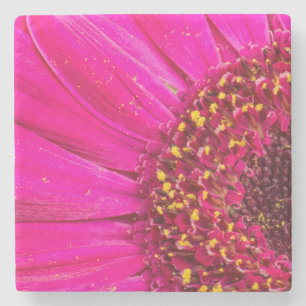 Dessous-de-verre En Pierre Gros plan d'une marguerite de Gerber