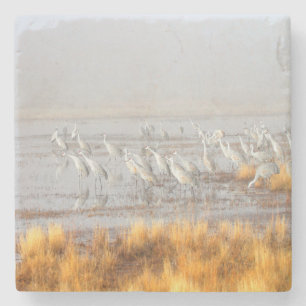 Dessous-de-verre En Pierre Grues brumeuses de Sandhill