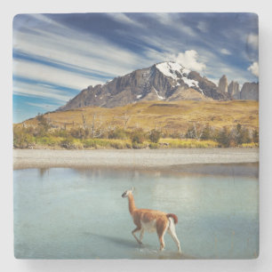 Dessous-de-verre En Pierre Guanaco traversant la rivière en Torres del Paine