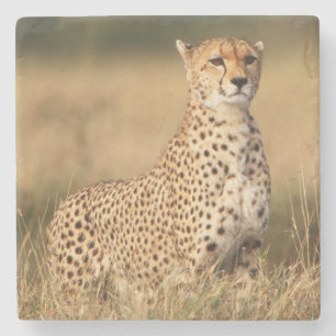 Dessous-de-verre En Pierre Guépard sur un petit monticule pour une meilleure