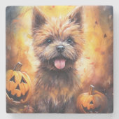 Dessous-de-verre En Pierre Halloween Cairn Terrier Avec La Peur Citrouille (Devant)