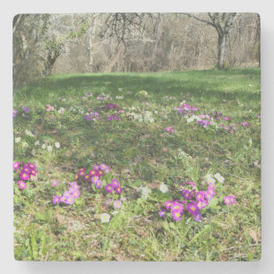 Dessous-de-verre En Pierre Harbinger du printemps