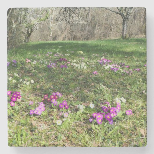 Dessous-de-verre En Pierre Harbinger du printemps (Devant)
