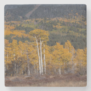 Dessous-de-verre En Pierre Hart Prairie