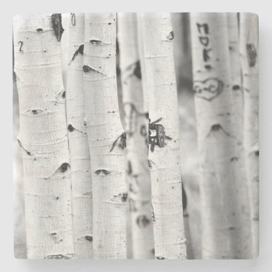 Dessous-de-verre En Pierre Haut Aspen (Devant)