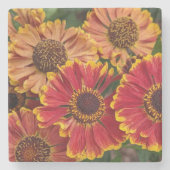 Dessous-de-verre En Pierre Hélénium Autumnale fleurit Floral (Devant)