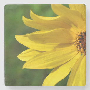 Dessous-de-verre En Pierre Hélénium de marguerite jaune