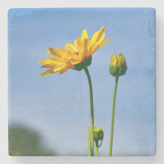 Dessous-de-verre En Pierre Hélénium de marguerite jaune (Devant)