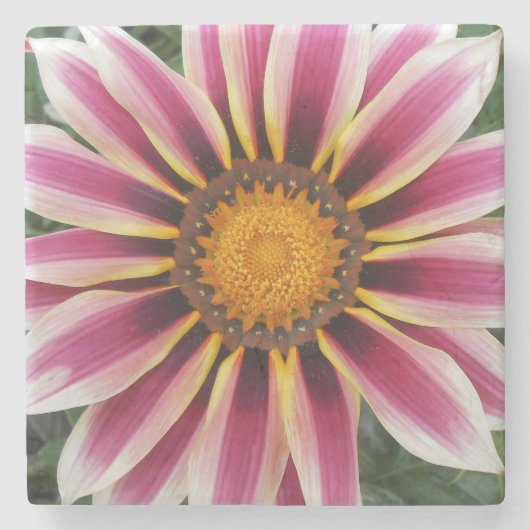 Dessous-de-verre En Pierre Hereford (Devant)