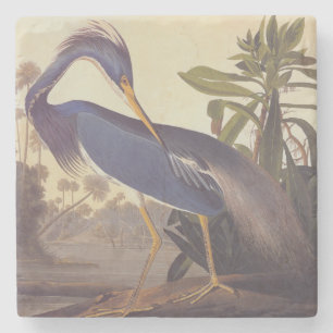 Dessous-de-verre En Pierre Héron de la Louisiane d'Audubon ou Héron tricolore